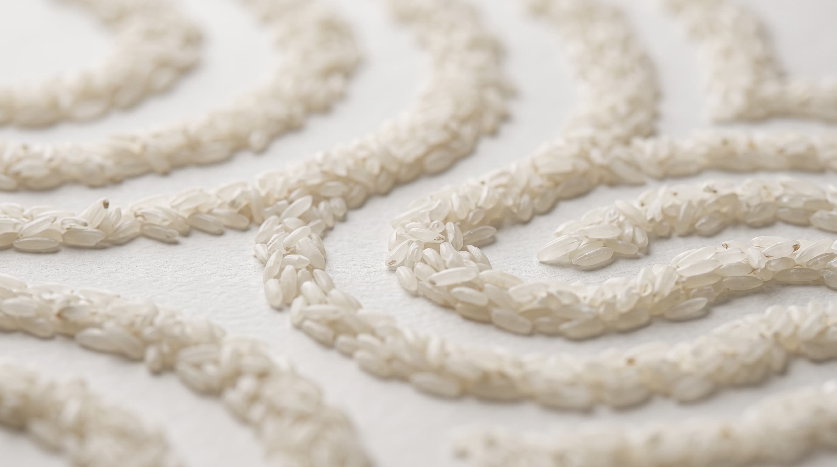 Grains of rice forming soft flowing curves