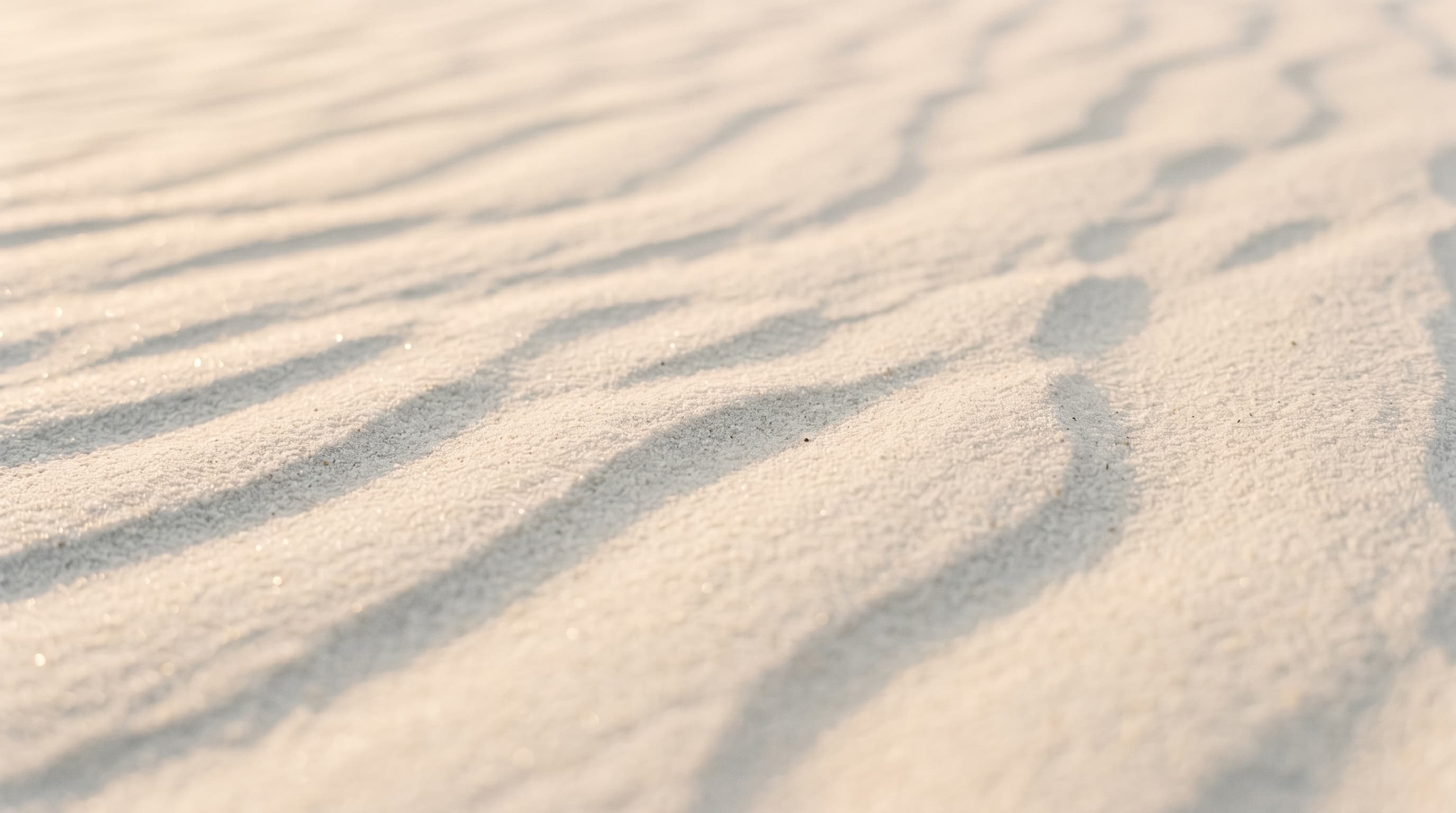 Wind shaped ripples across warm summer sand